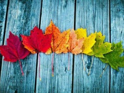 Coming Down From the&nbsp;Mountain